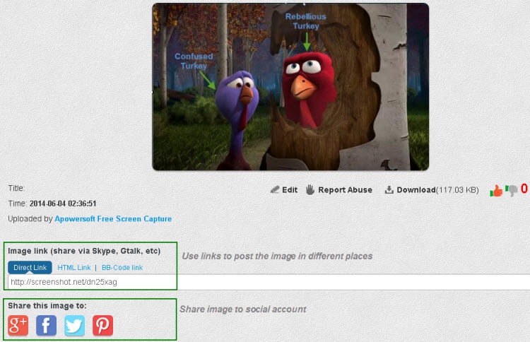 How To Capture Screen Via Free Online Screenshot