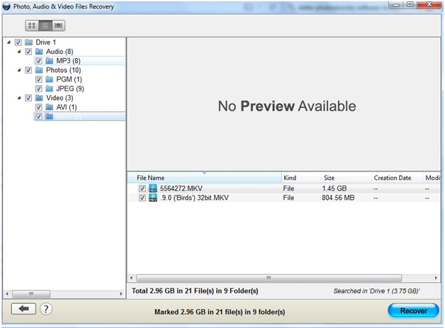 Stellar Phoenix Photo Recovery Review
