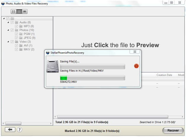 Stellar Phoenix Photo Recovery Review