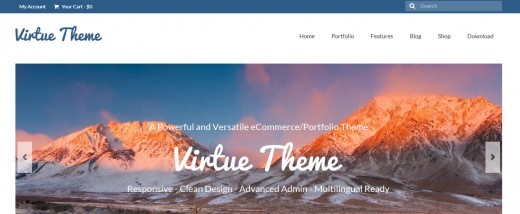 virtue theme