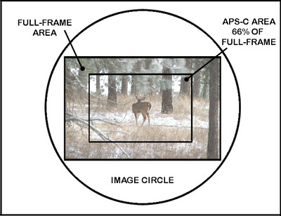 Camera Sensors APS-C Camera Sensors APS-C