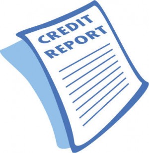 Private Credit Report For Free