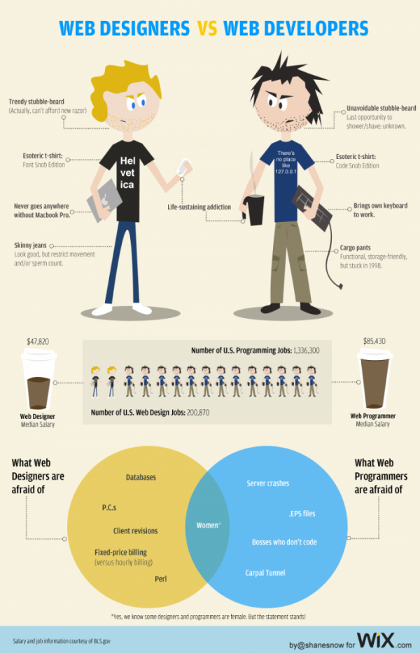 The difference between web development and Web Design-infographic The difference between web development and Web Design