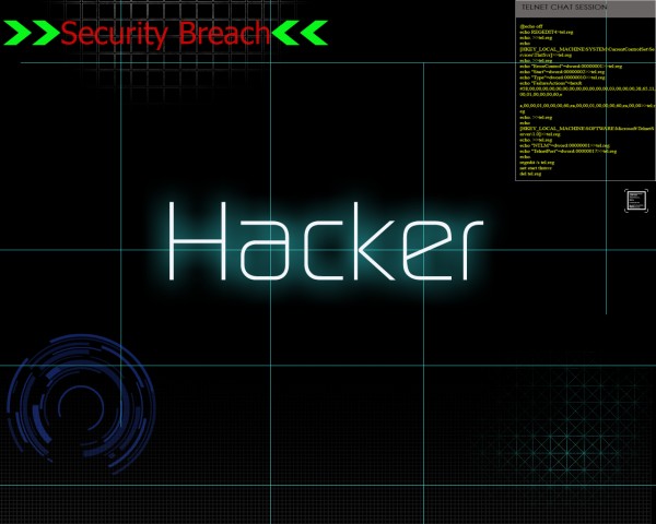 Eight Hacking Trends in 2011