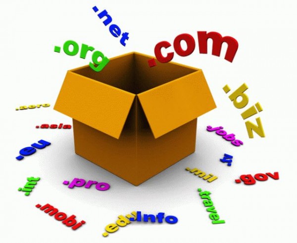 How Should You Choose a Domain Name 