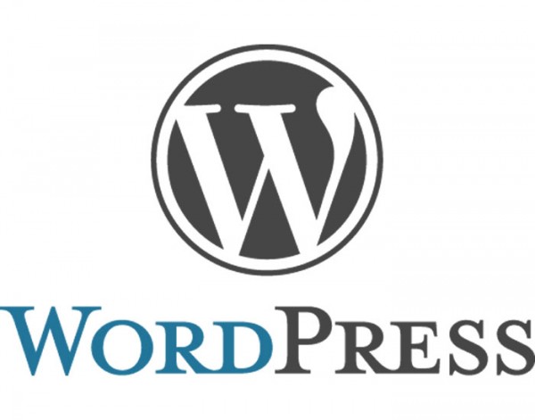 Installing WordPress Business Themes