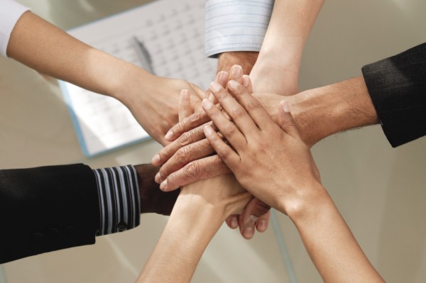 The Importance of HR Software for Businesses The Importance of HR Software for Businesses