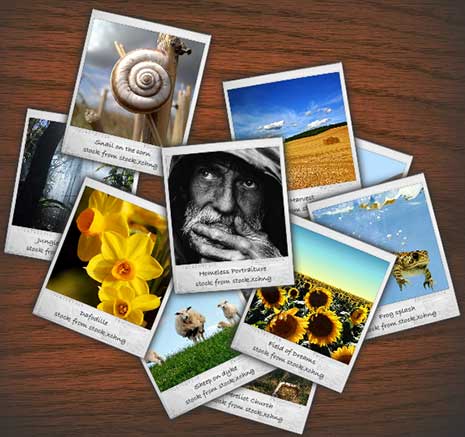 4 Steps to Let Your Photos Speak for Your Website 4 Steps to Let Your Photos Speak for Your Website