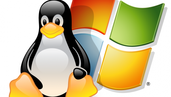 Important Differences between Windows and Linux Servers 