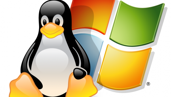 Important Differences between Windows and Linux Servers Important Differences between Windows and Linux Servers