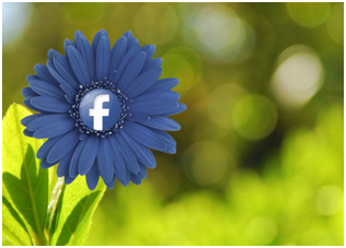 Facebook Organic Reach in 2015: Is It Hopeless?