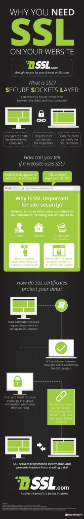 Protect Your Data And Business With SSL